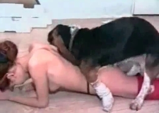 zoophilic escort pleases her sexy doggy