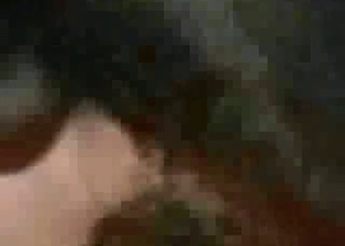 Nice ass banged by a horny doggy