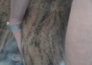 Hard cock creams a sexy animal