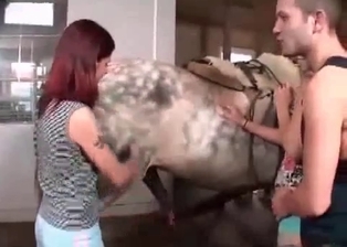 Sexy bitch sucks her stallion with ion